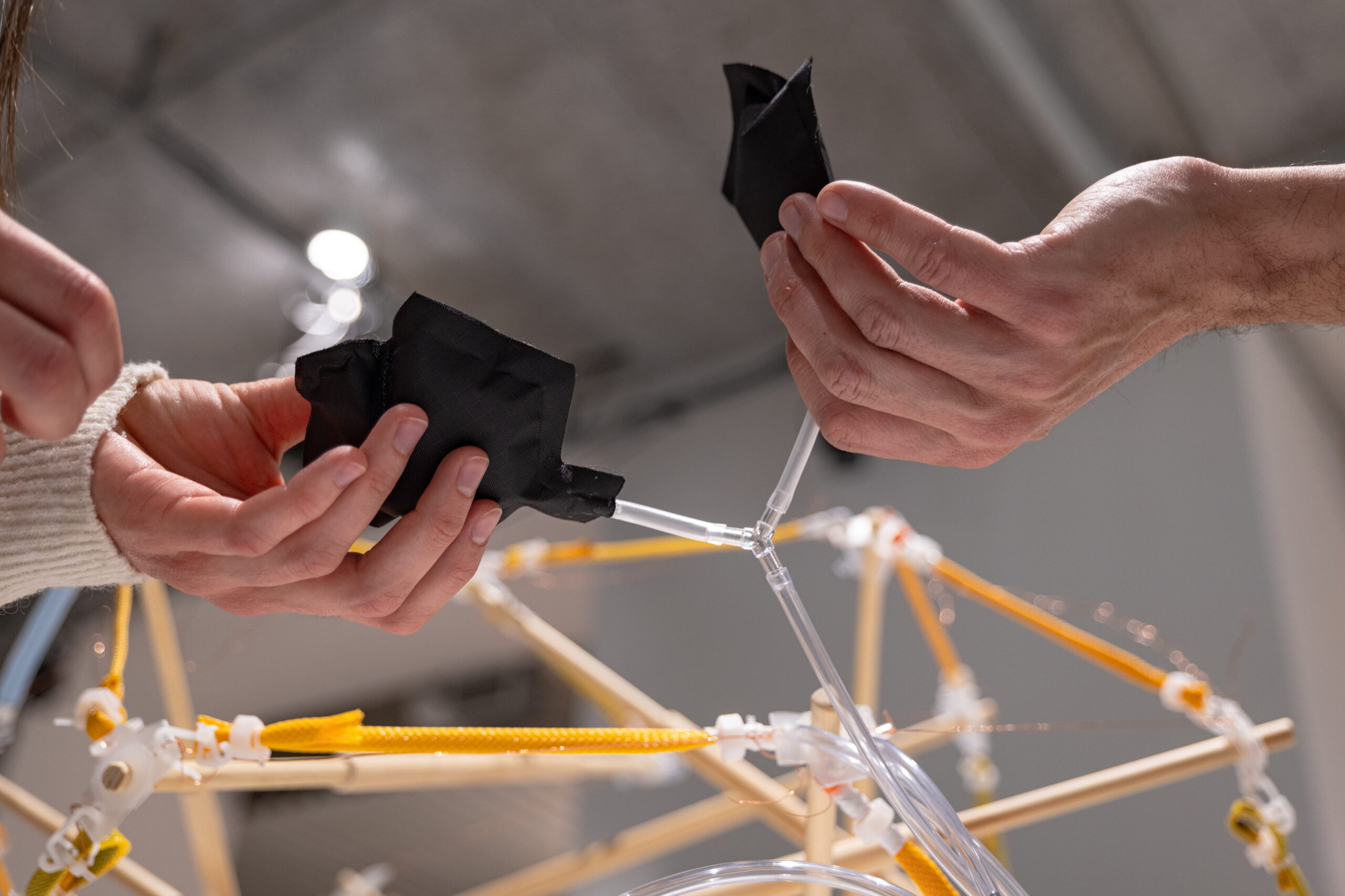 20260319_adapter-41 (1)